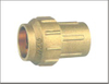 Brass Straight Pipe Fitting