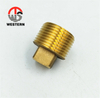 Brass Plug