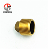 Brass Plug