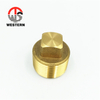 Brass Plug
