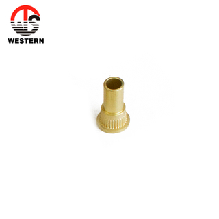 Brass Insert Knurling Fitting