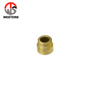 Brass Adaptor