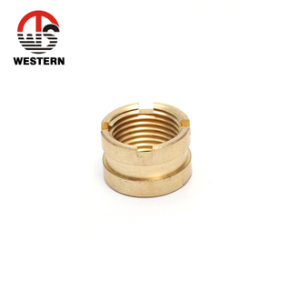 Brass Insert Fitting