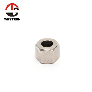 Brass Nut Nickel Plated