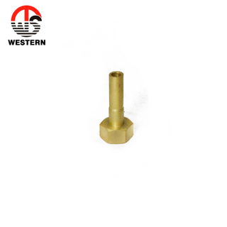 Brass Adaptor
