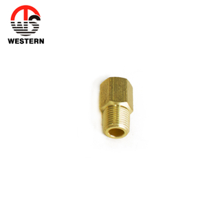 Hexagon Fitting Female Thread Connector