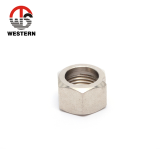 Brass Nut Nickel Plated
