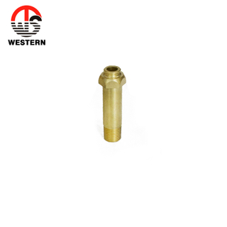 Brass Adaptor
