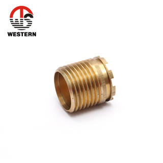 Brass Insert Fitting