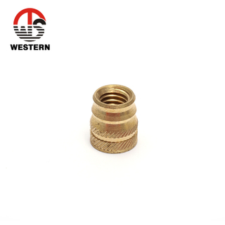 Brass Insert Fitting