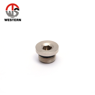 Brass Nut Nickel Plated