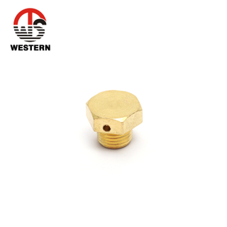 Brass Bolt