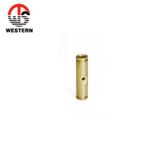 Brass Adaptor