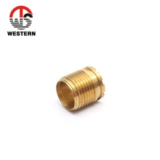 Brass Insert